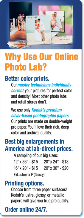 Dale Laboratories Color Prints Enlargements Photo Books Cards Calendars